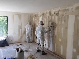 Best Commercial Mold Inspection  in Worthington, KY